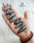Small Orthoceras fossil crystal set grounding stones