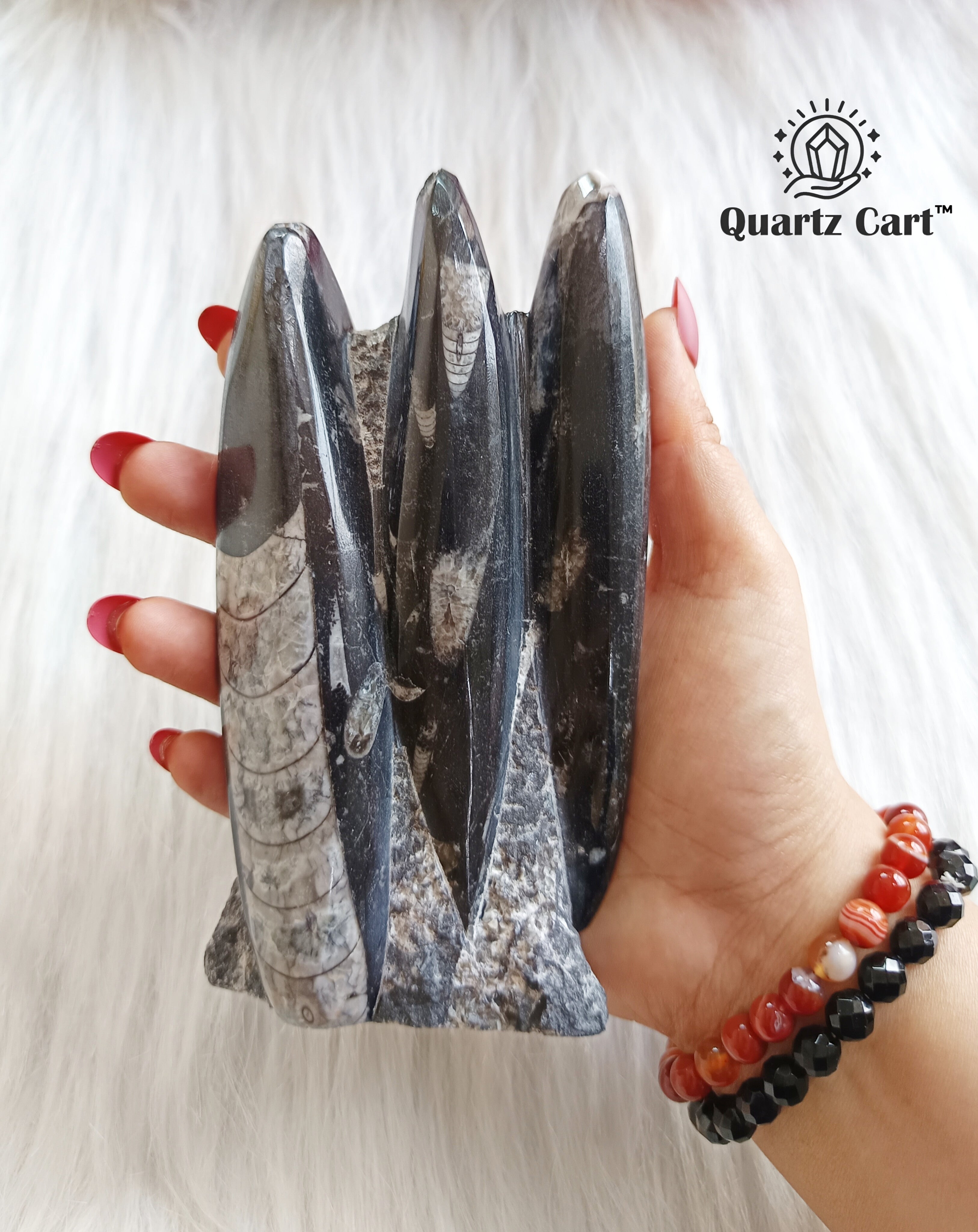 Orthoceras Stone Large – Natural Fossil Healing Crystal #1
