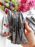 Orthoceras Stone Large – Natural Fossil Healing Crystal #1
