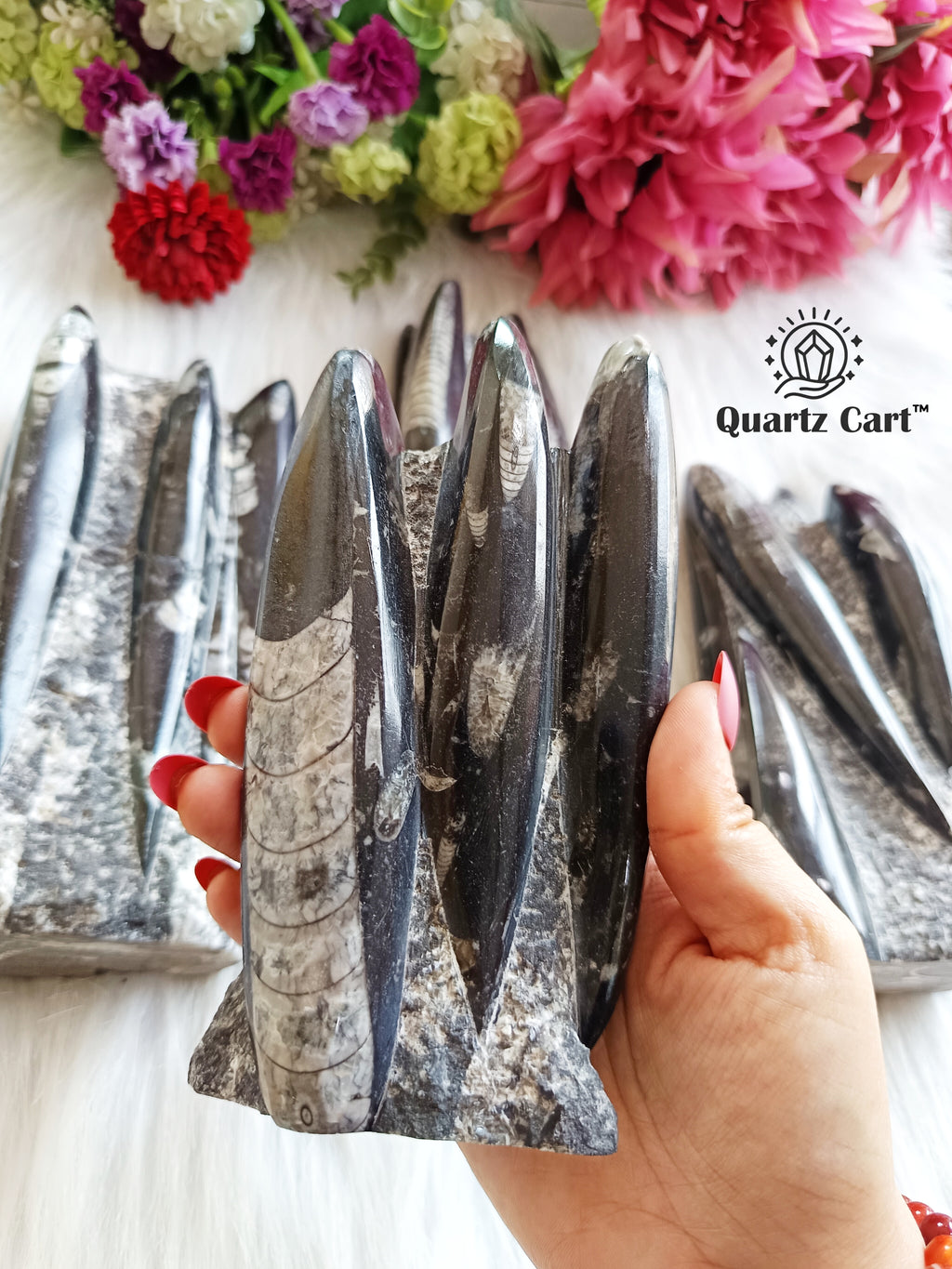 Orthoceras Stone Large – Natural Fossil Healing Crystal #1