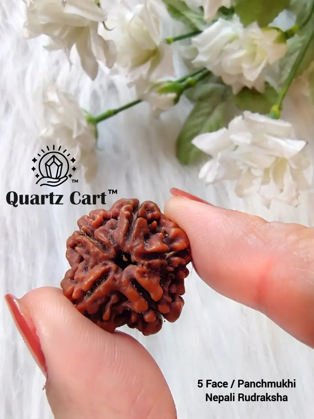 Panch Mukhi Rudraksha Beads – Natural 5 Mukhi Sacred Spiritual & Healing Seed
