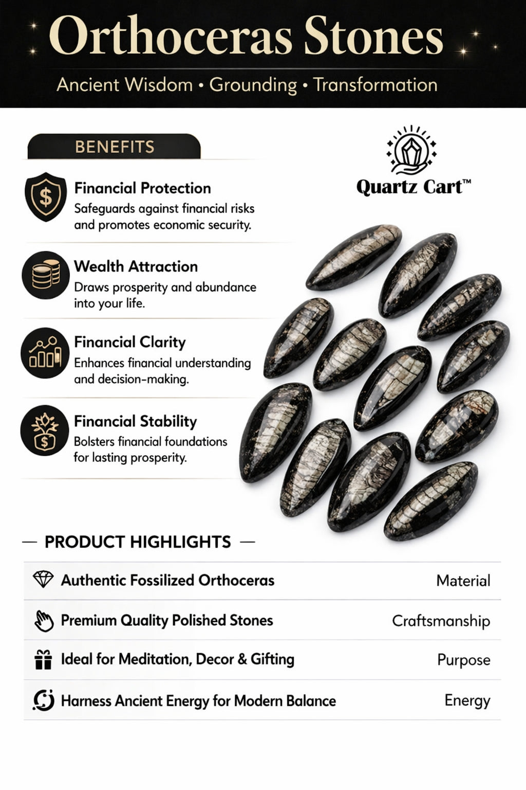 Orthoceras Stones Small – Natural Fossil Healing Crystal