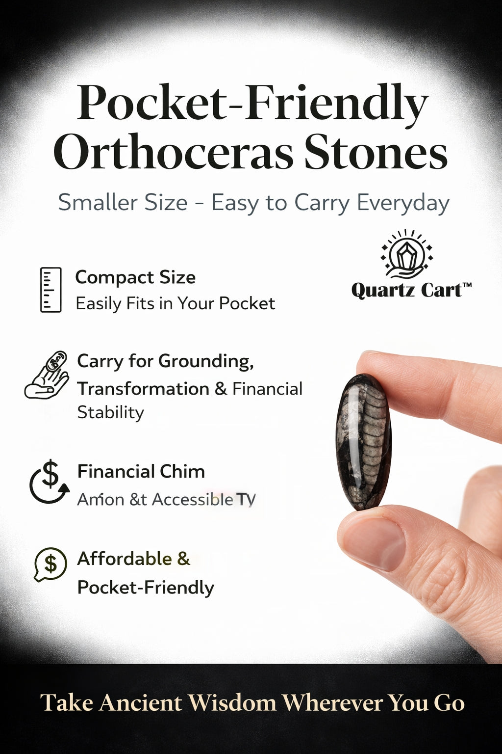 Orthoceras Stones Small – Natural Fossil Healing Crystal