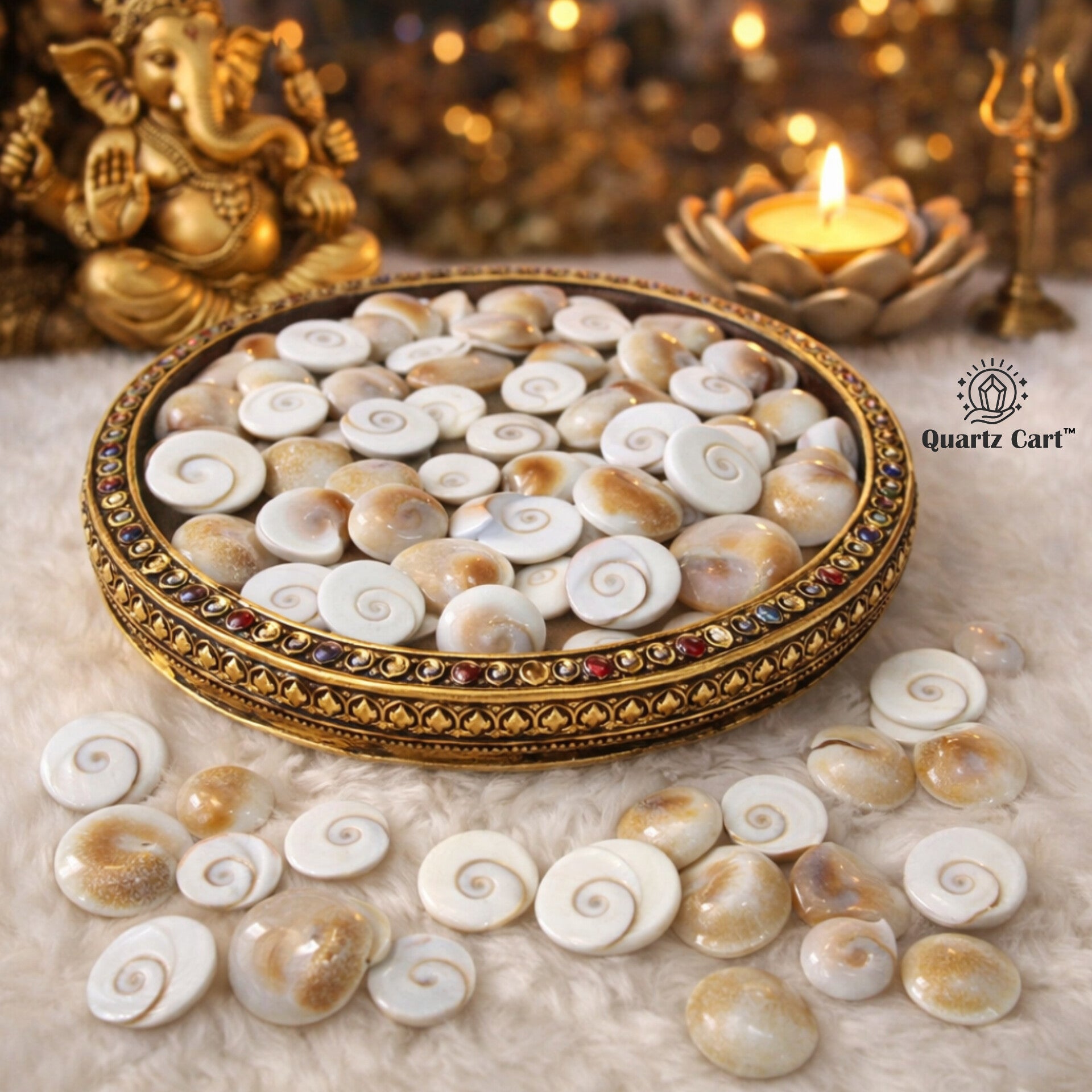 Gomti Chakra – The Sacred Spiral of Prosperity & Protection