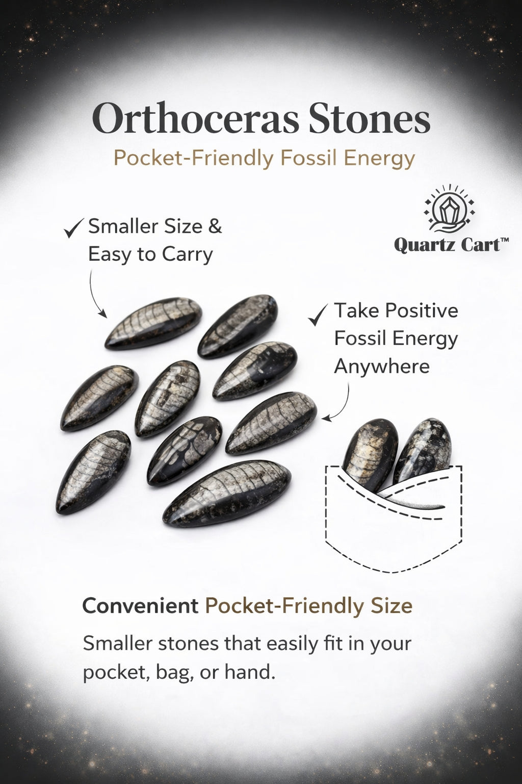 Orthoceras Stones Small – Natural Fossil Healing Crystal